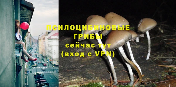 винт Алексеевка