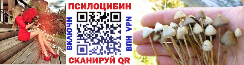 цена Учалы ОМГ ОМГ сайт Псилоцибиновые грибы Magic Shrooms