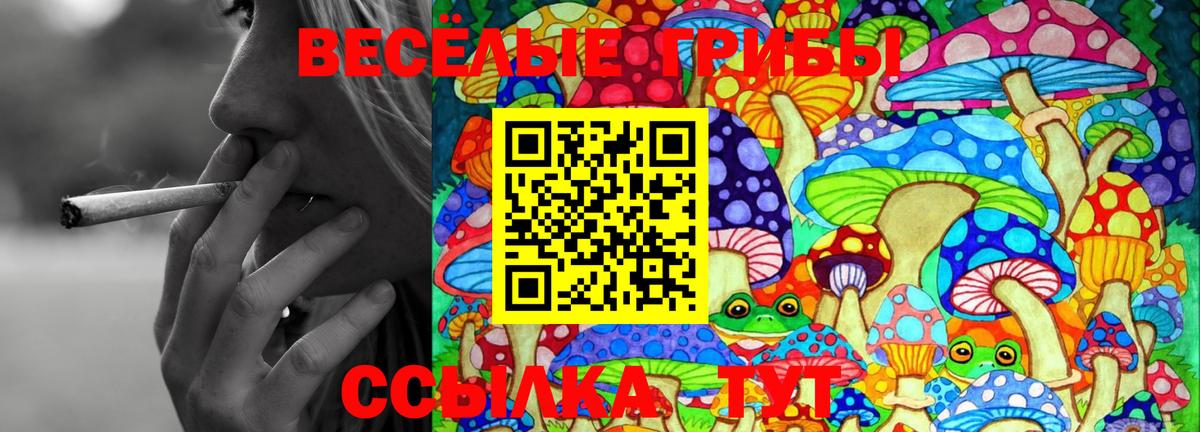 Псилоцибиновые грибы GOLDEN TEACHER  Галлюциногенные грибы мицелий  Вход с VPN  Учалы 